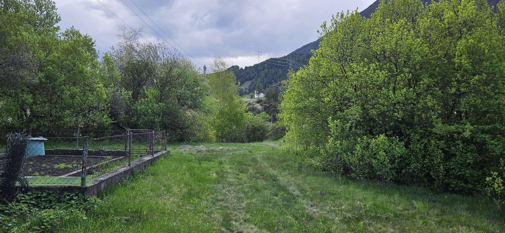 Natürlicher Gartenbereich mit üppigem Grün, Bäumen und einem kleinen, eingezäunten Gemüsebeet.