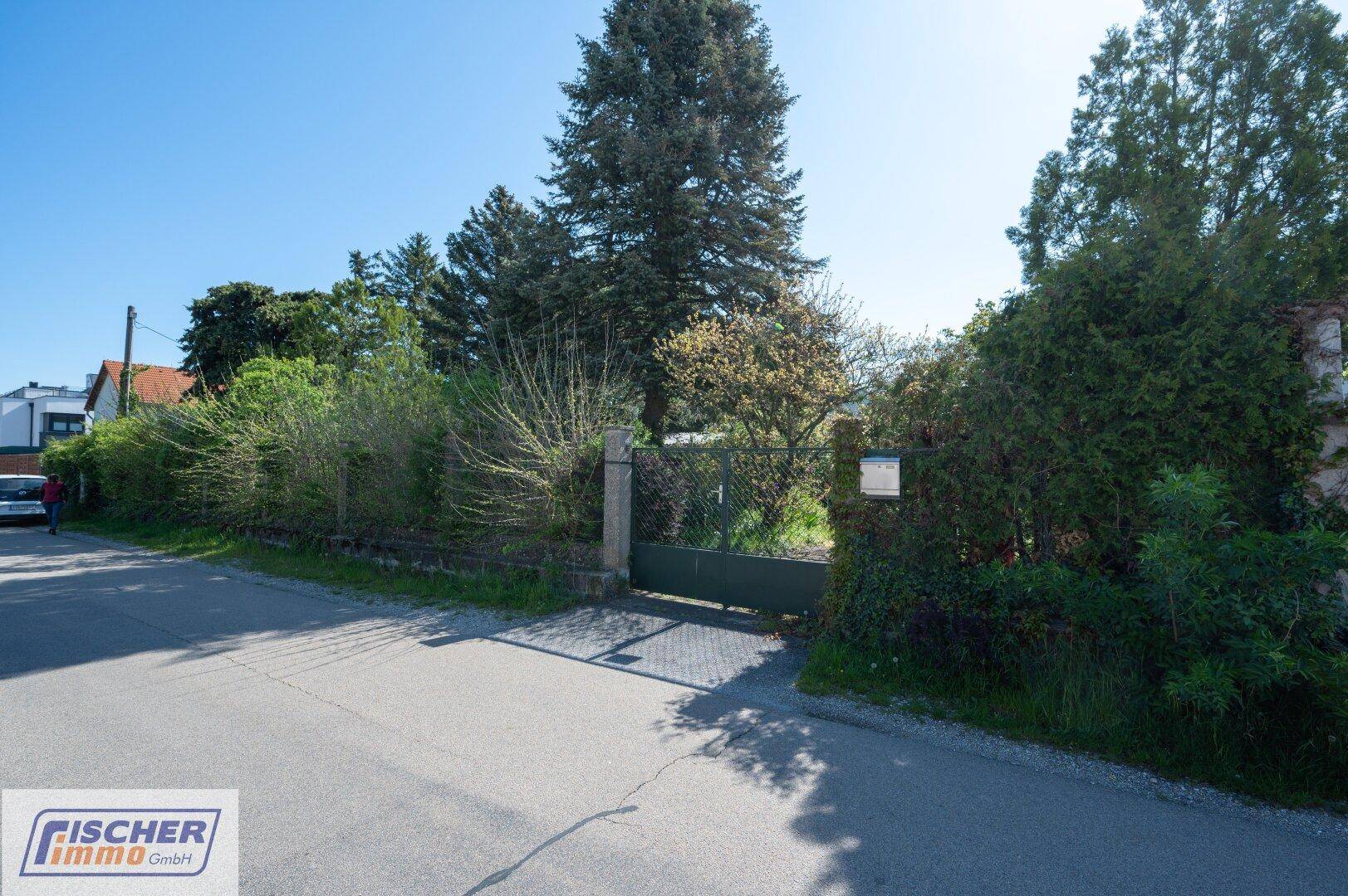 Zufahrt zum Grundstück mit einem grünen Tor, umgeben von Bäumen und einer Hecke.