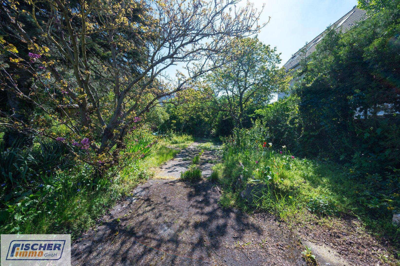 Natürlicher Gartenweg, umgeben von dichtem Grün, Bäumen und blühenden Sträuchern.