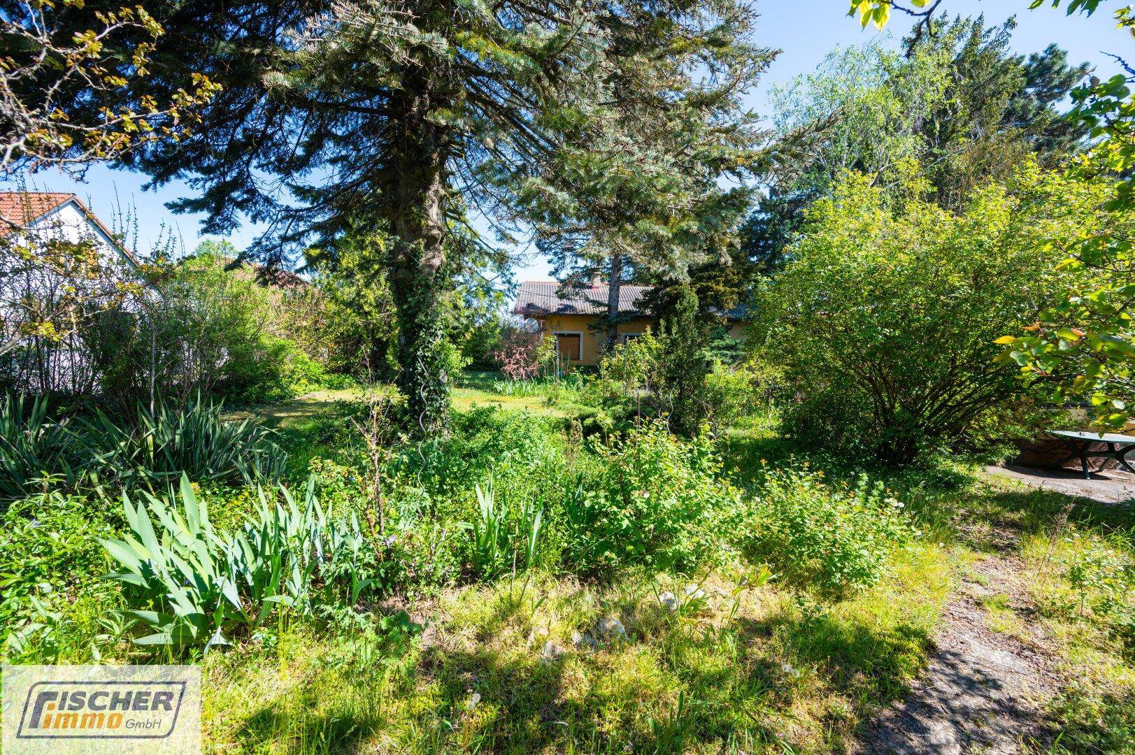 Weitläufiger Gartenbereich mit Rasen, Sträuchern und hohen Nadelbäumen unter blauem Himmel.