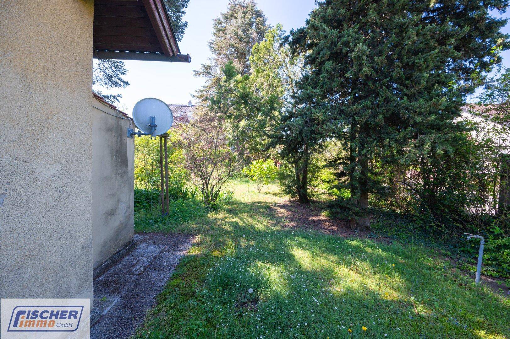 Gebäudeseite mit gepflastertem Bereich und weitläufigem Garten, umgeben von hohen Bäumen.