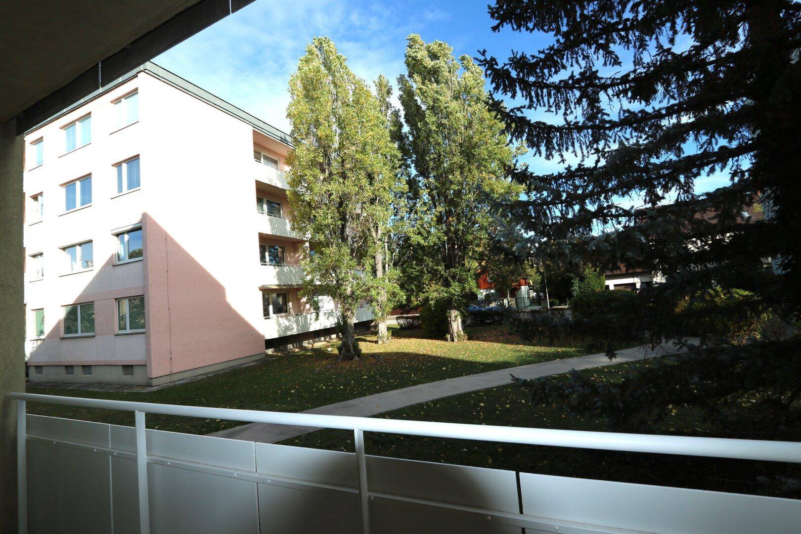 Blick vom Balkon auf den grünen Innenhof mit Bäumen und angrenzenden Gebäuden.