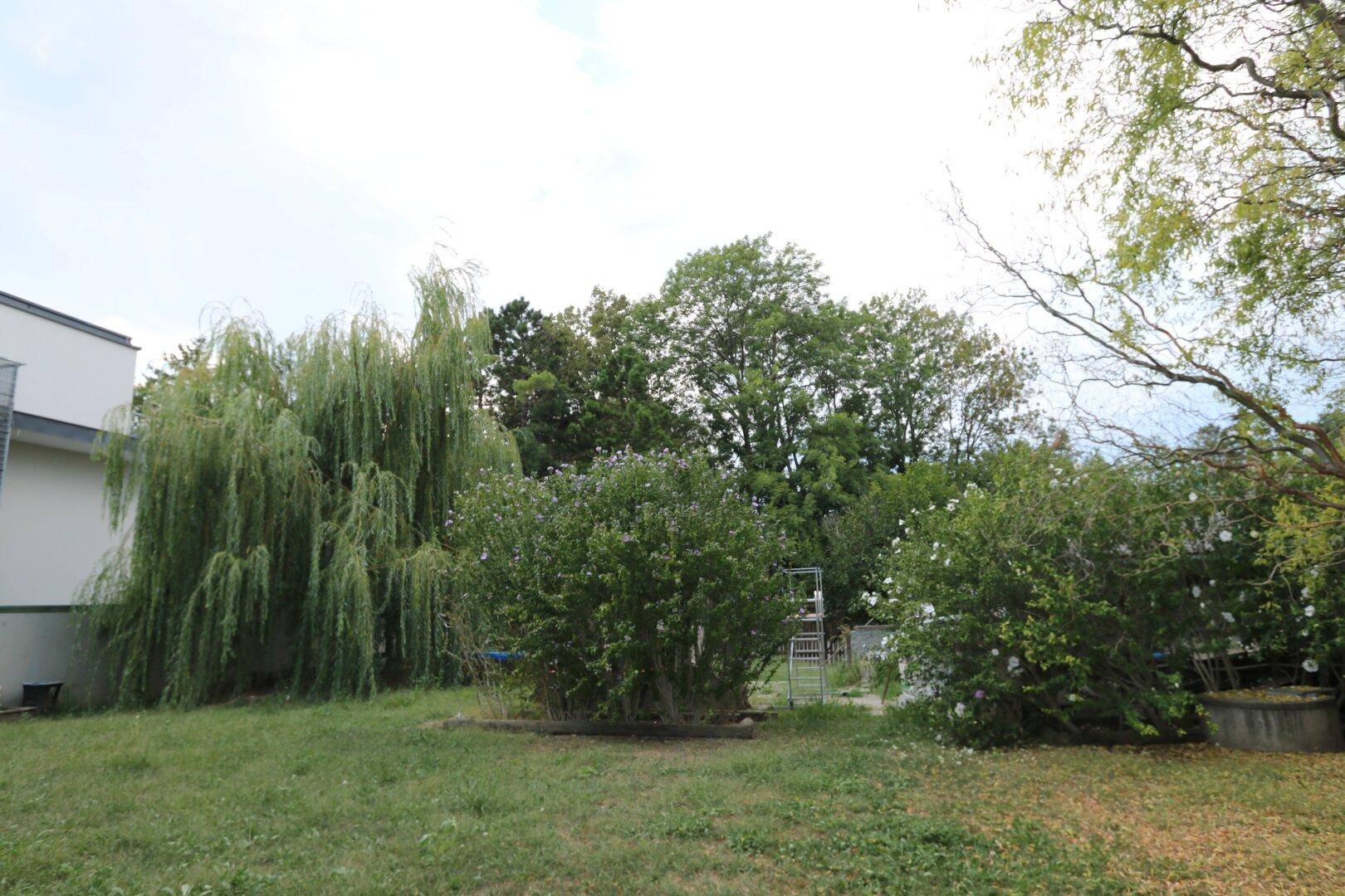 Garten im hinteren Teil des Grundstücks