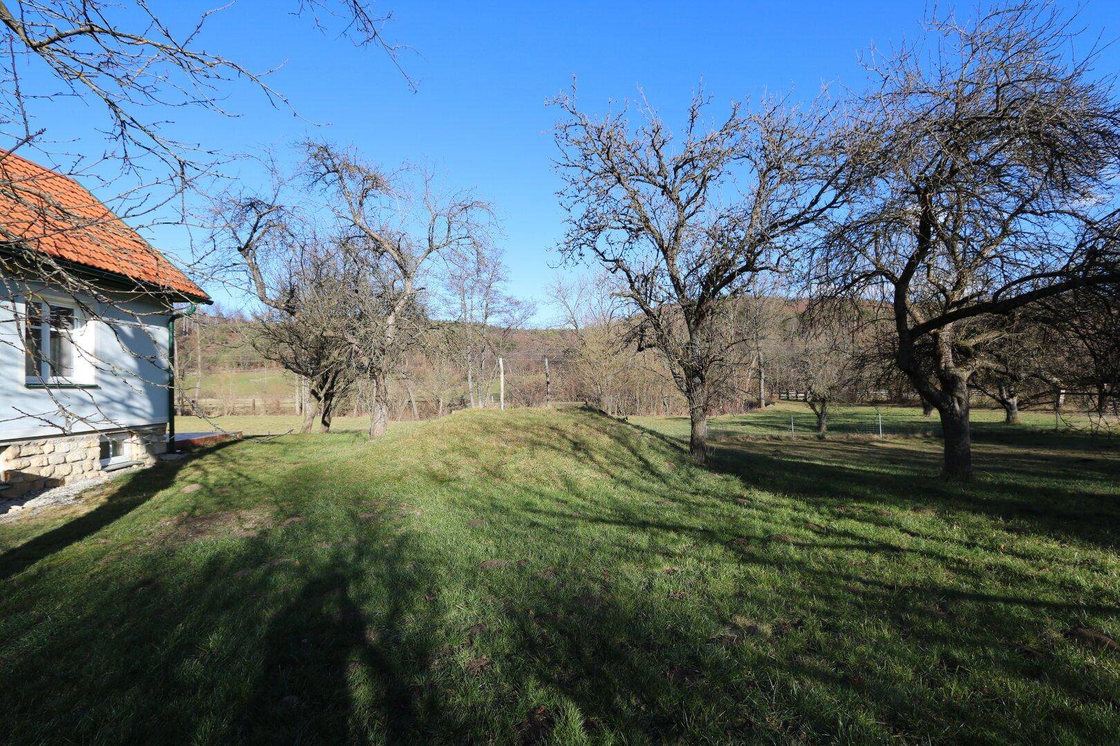 Garten mit alten Obstbäumen