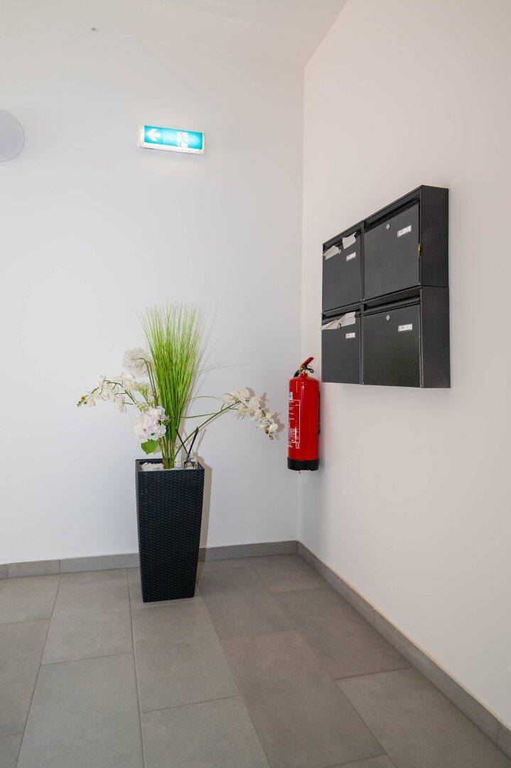Gemeinschaftsbereich mit Briefkästen, Feuerlöscher und dekorativer Pflanze im Eingangsbereich.