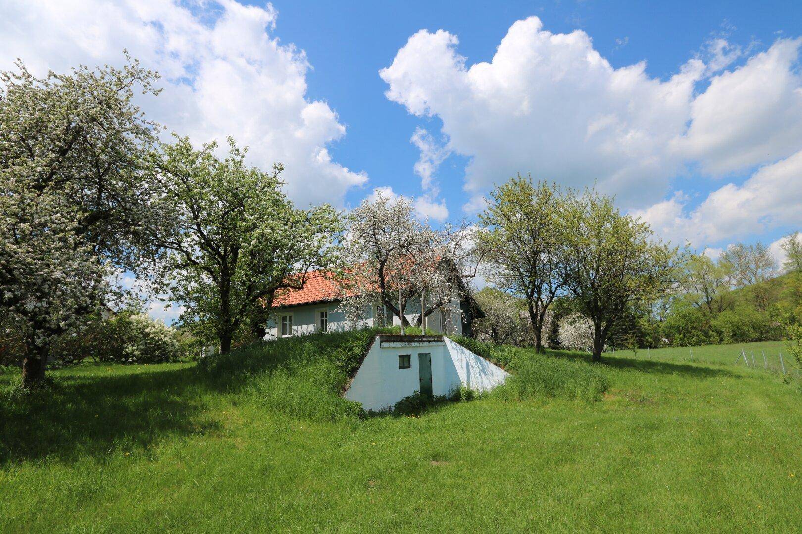 Ostansicht des Hauses/Obstgarten