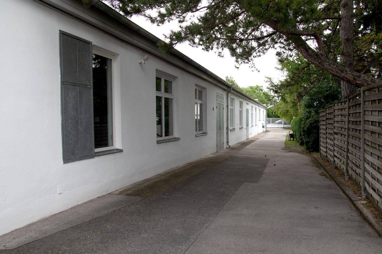 Slide 8