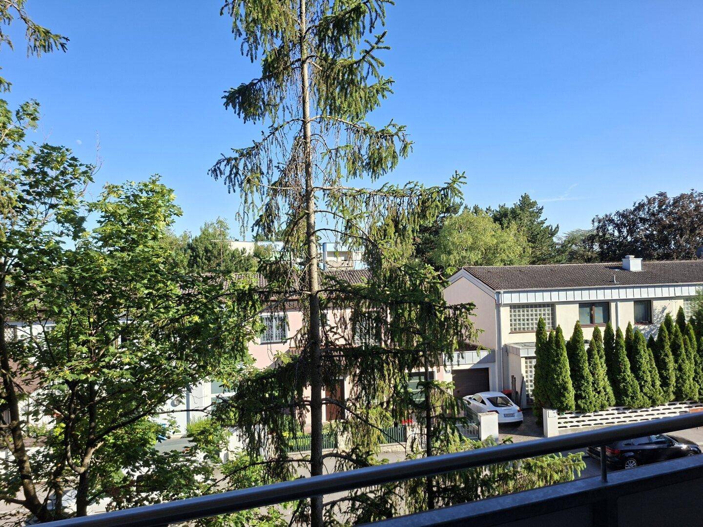 Weitblick über eine Wohnsiedlung mit vielen Bäumen und Häusern unter klarem blauem Himmel.