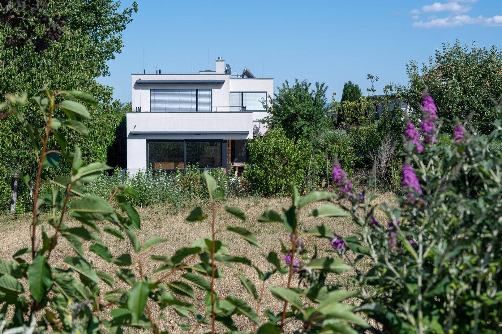 Modernes Wohnhaus eingebettet in eine grüne Landschaft, umgeben von Bäumen und Sträuchern.