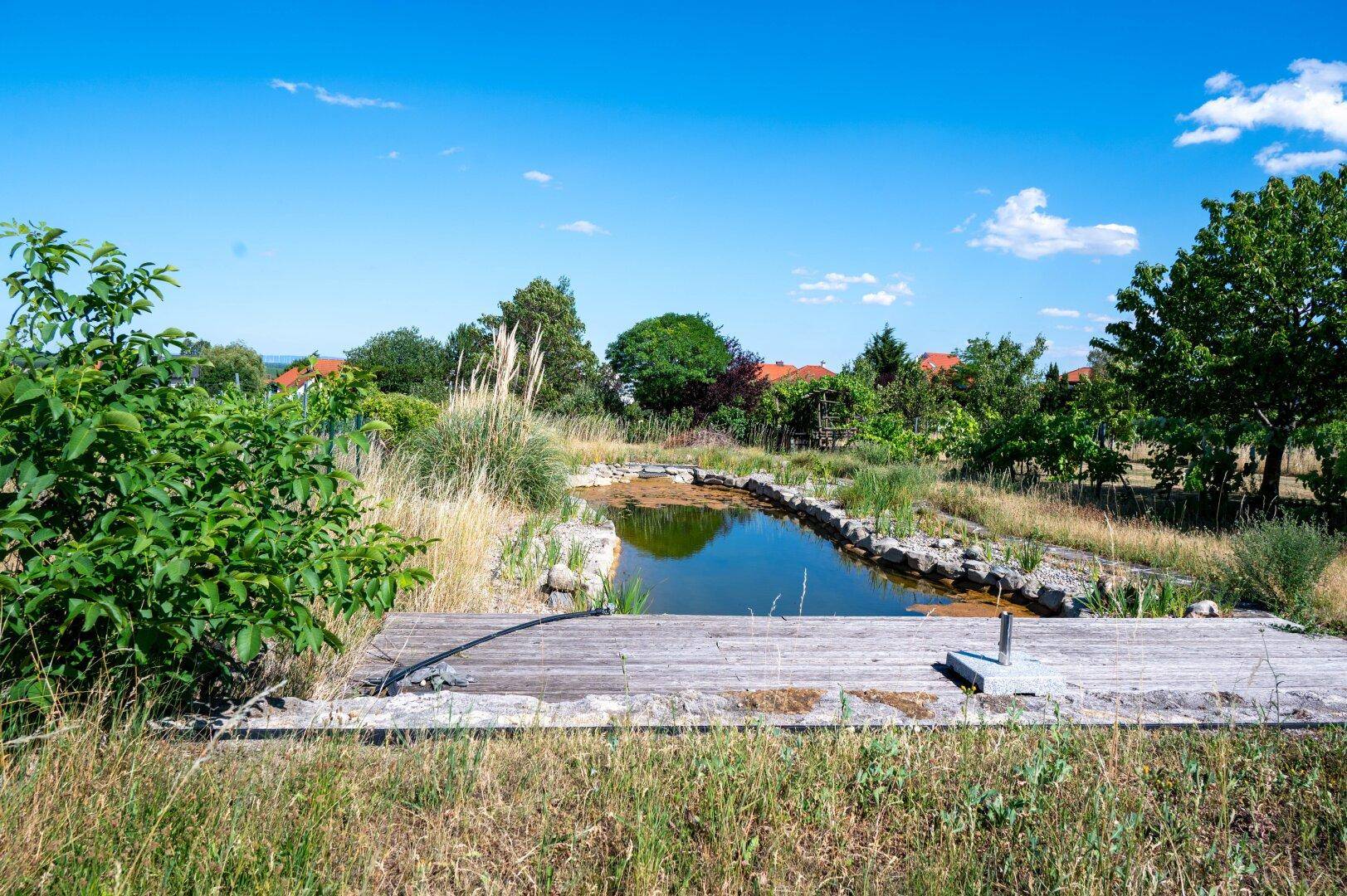 Natürlicher Gartenteich mit Holzsteg und üppiger Bepflanzung, idyllische Atmosphäre.