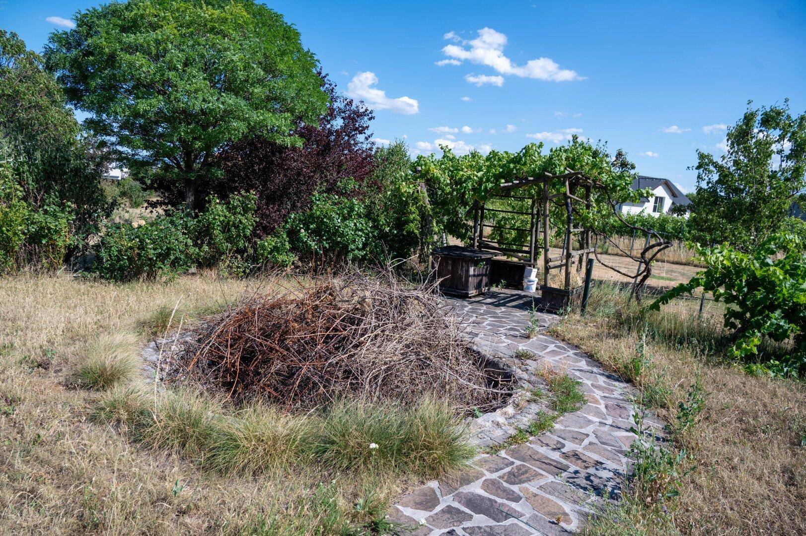 Naturbelassener Gartenbereich mit Feuerstelle und Steinpfad, umgeben von Bäumen.