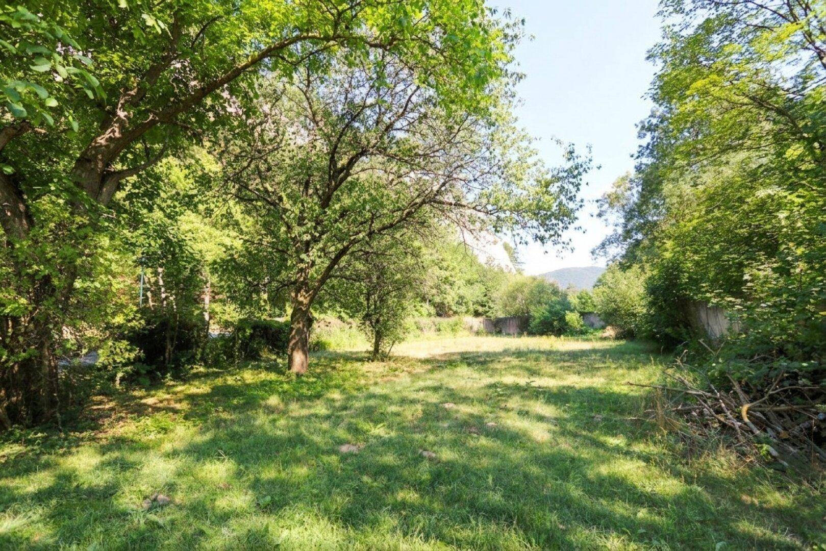 Weitläufige Rasenfläche des Gartens, umgeben von altem Baumbestand und dichter Vegetation.