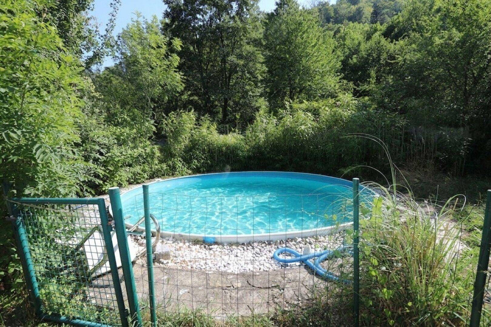 Runder Aufstellpool im Garten, umgeben von dichter Vegetation und einem Zaun.