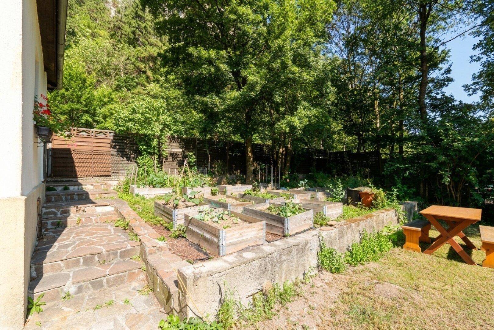 Gartenbereich mit Hochbeeten, Steintreppe und Picknicktisch, umgeben von Bäumen und Natur.