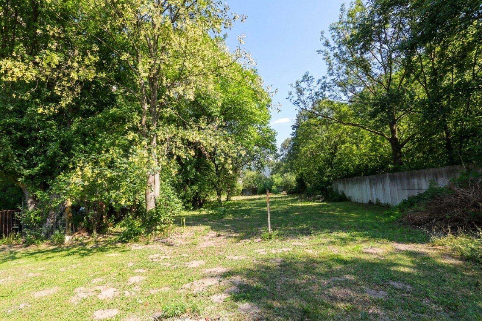 Weitläufige Rasenfläche mit Bäumen und einer Betonmauer im Hintergrund unter blauem Himmel.