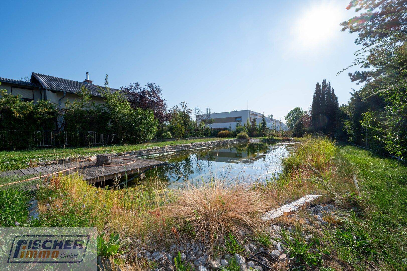 Natürlicher Gartenteich mit üppiger Bepflanzung und Holzsteg unter strahlendem Sonnenschein.