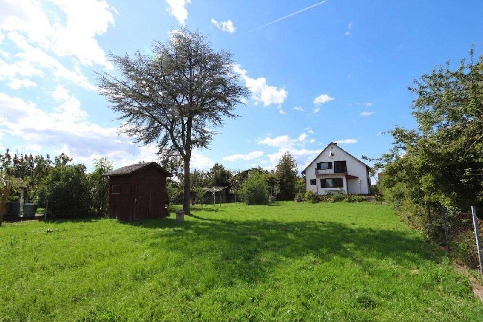 Weitläufiger Gartenbereich mit Rasenfläche, einem Baum und einem kleinen Geräteschuppen.