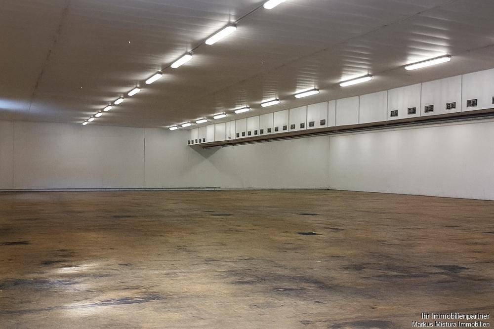 Geräumige Lagerhalle mit hoher Decke, industrieller Beleuchtung und robustem Betonboden.