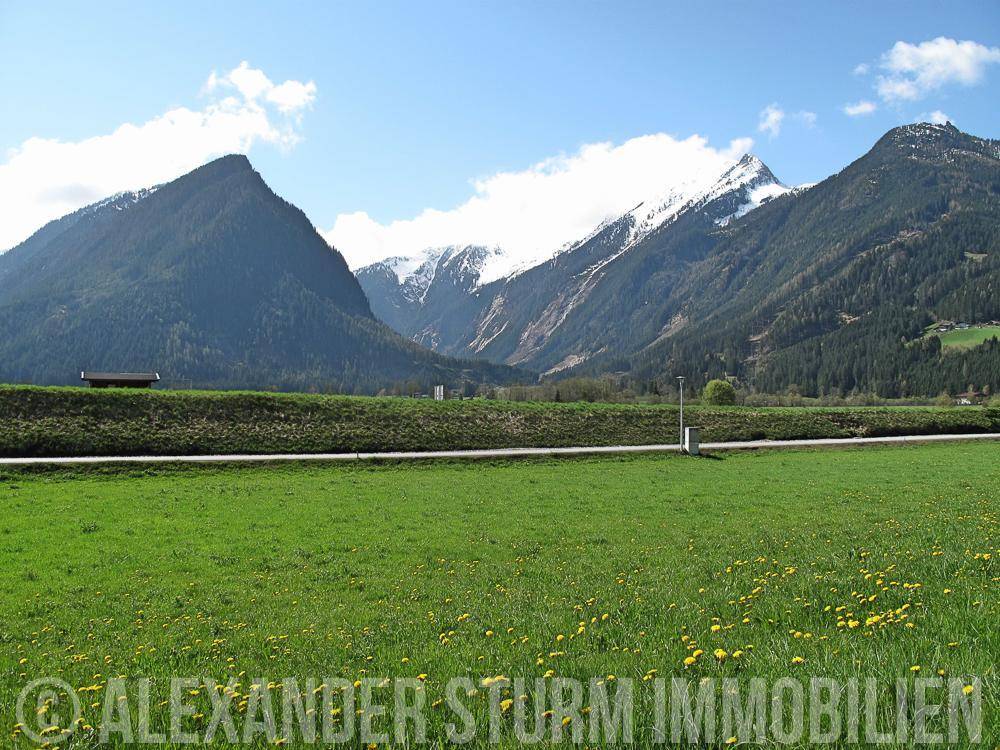 Idyllische Alpenlandschaft mit blühenden Wiesen, hohen Bergen und klarem Frühlingshimmel.