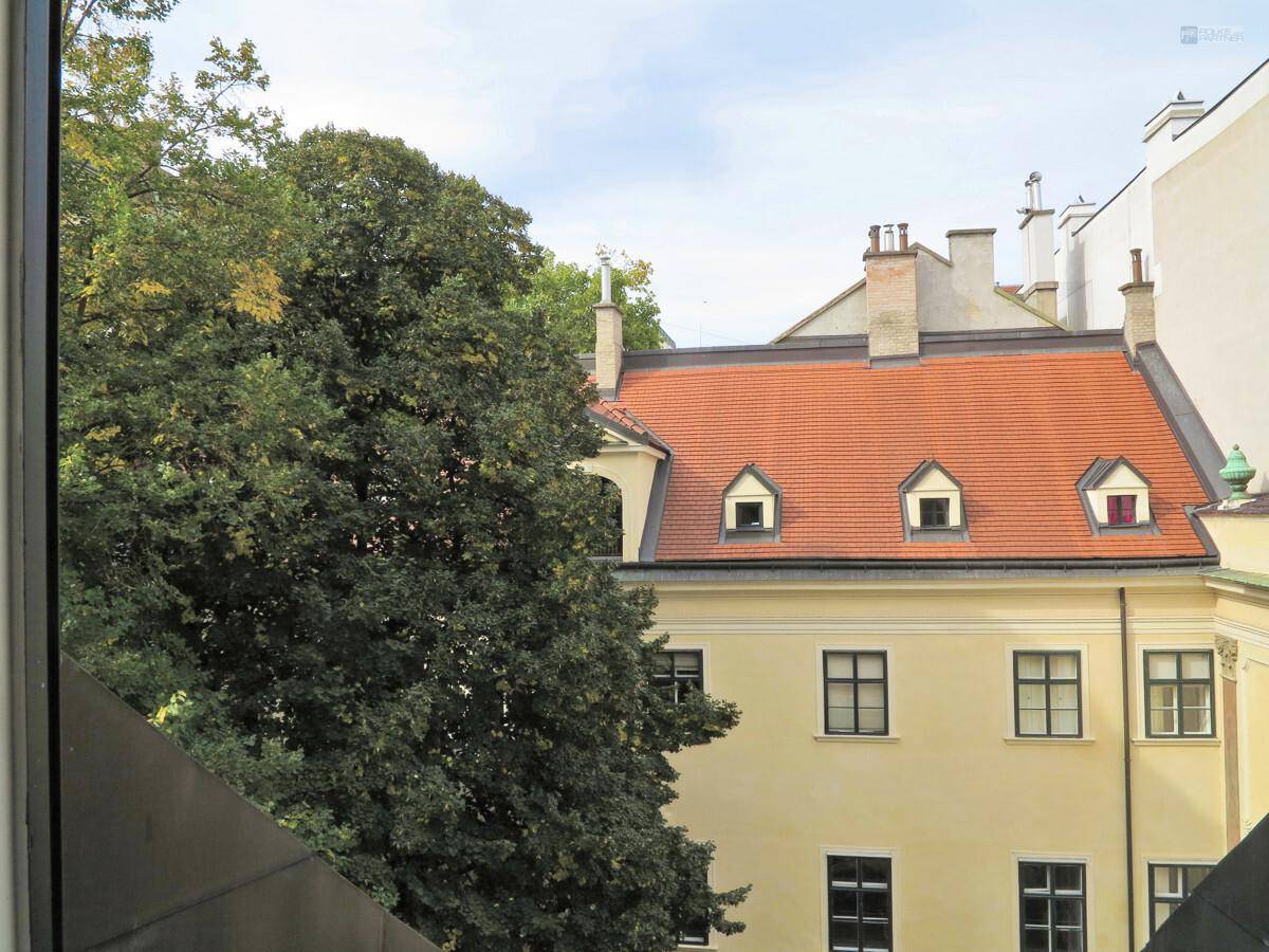 Blick aus dem Fenster auf einen grünen Baum und ein historisches Gebäude.