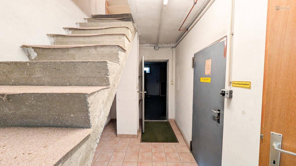 Kellerabgang mit Betonstufen und Zugang zu verschiedenen Kellerräumen.