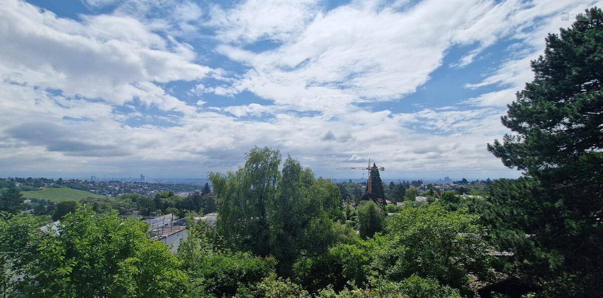 Weitläufiger Ausblick über eine grüne Landschaft mit Stadtpanorama am Horizont und einem markanten Turm.