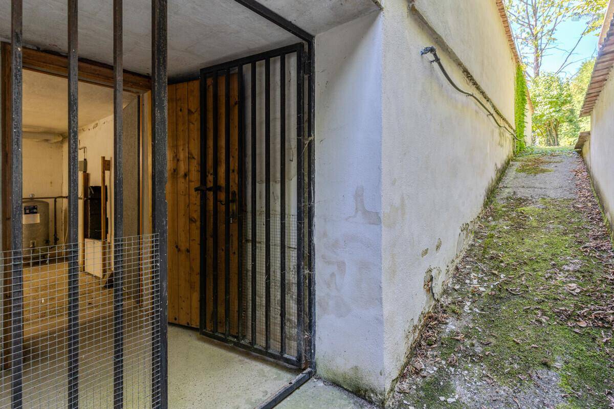 Eingangsbereich zum Keller mit Metalltüren und einem schmalen Zugangsweg im Freien.