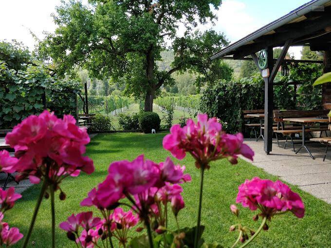 Lebendige pinke Blumen im Vordergrund mit einem weitläufigen Rasen und einem Weinberg im Hintergrund.