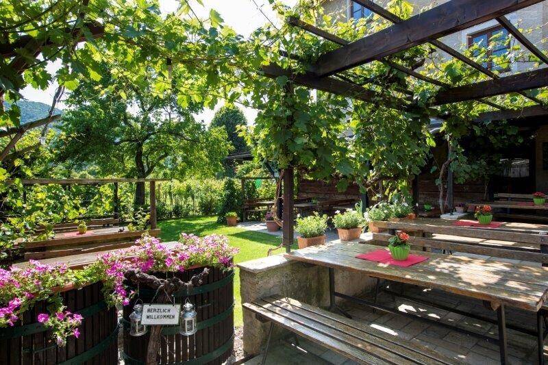 Idyllischer Terrassenbereich mit Holzbänken und Tischen, überdacht von Weinreben und geschmückt mit Blumen.