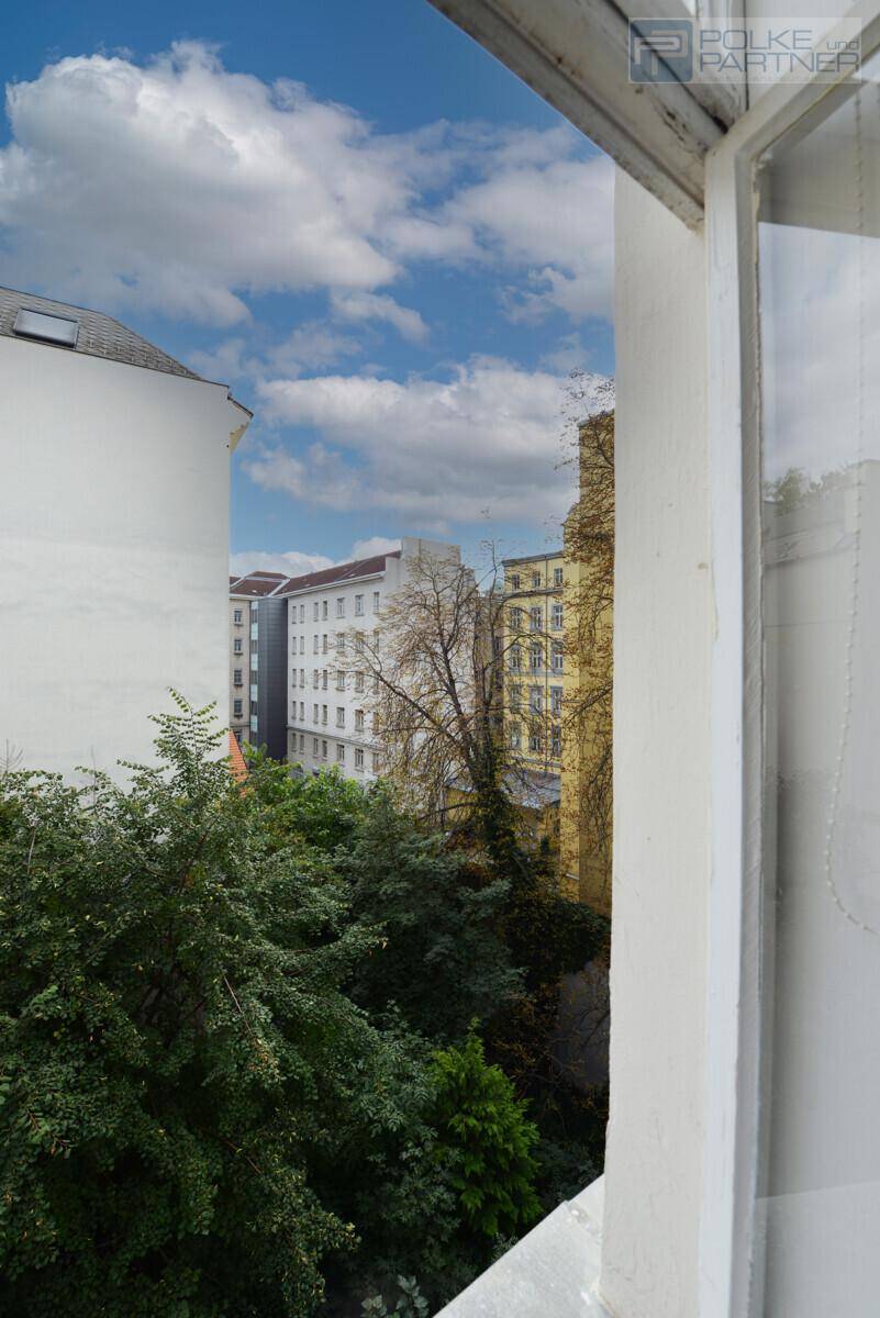 Fenster-Blick 2