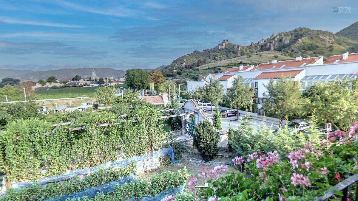 Weitläufiger Ausblick über einen grünen Garten mit Weinreben und eine hügelige Landschaft mit Stadt im Hintergrund.