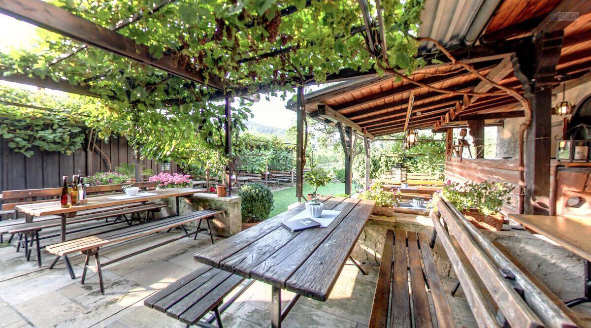 Weitläufiger Außenbereich mit zahlreichen Holztischen und Bänken unter einer schattenspendenden Weinpergola.