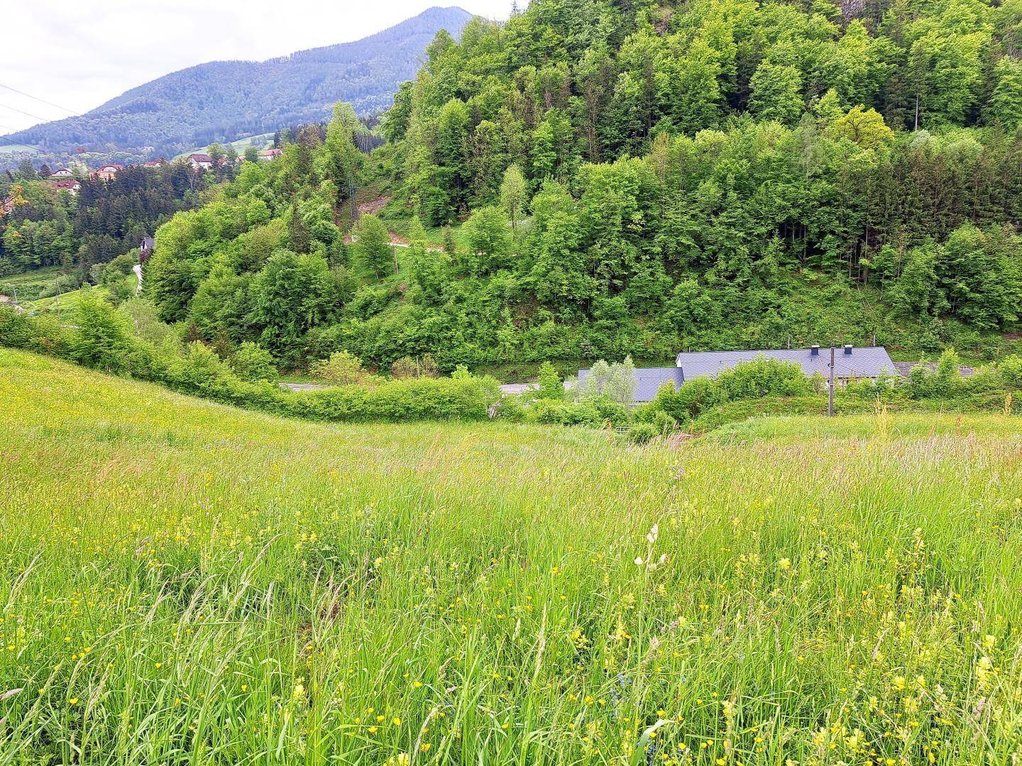 Blick nach SO - Richtung Weyer Zentrum