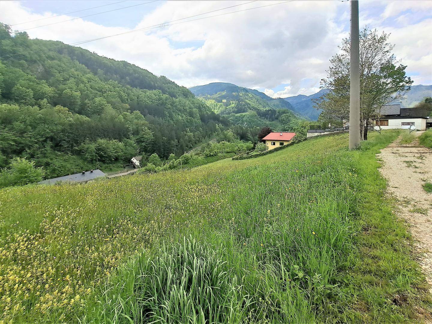 Zufahrt - Gemeindestraße