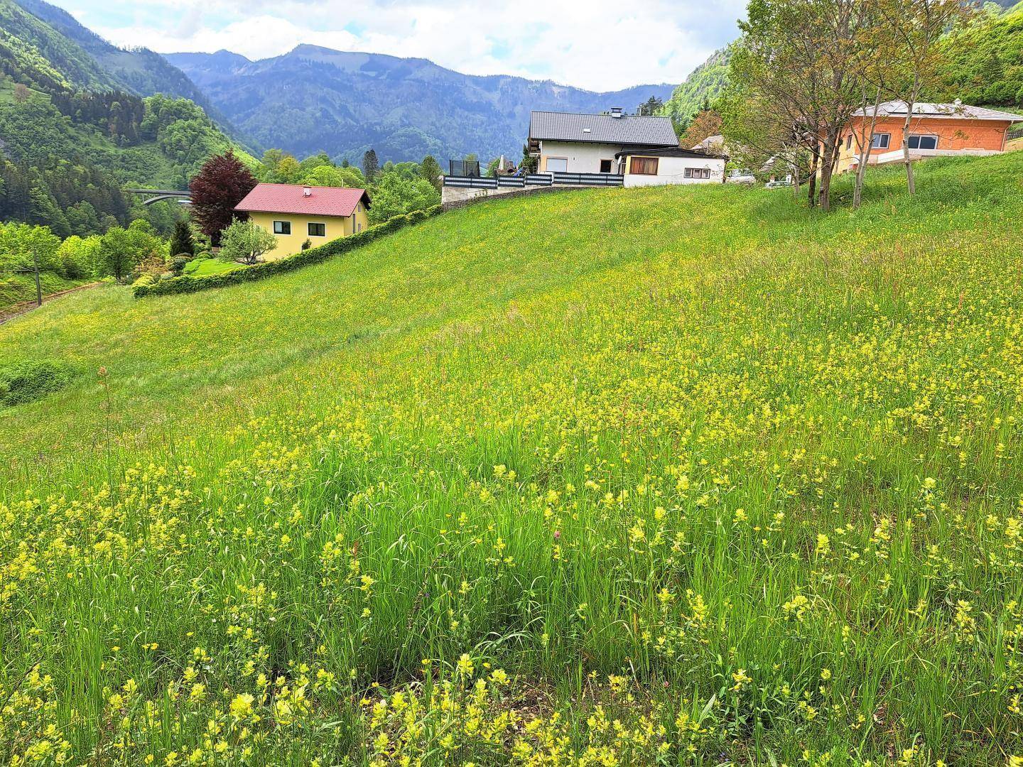 am Siedlungsrand - Blick nach W