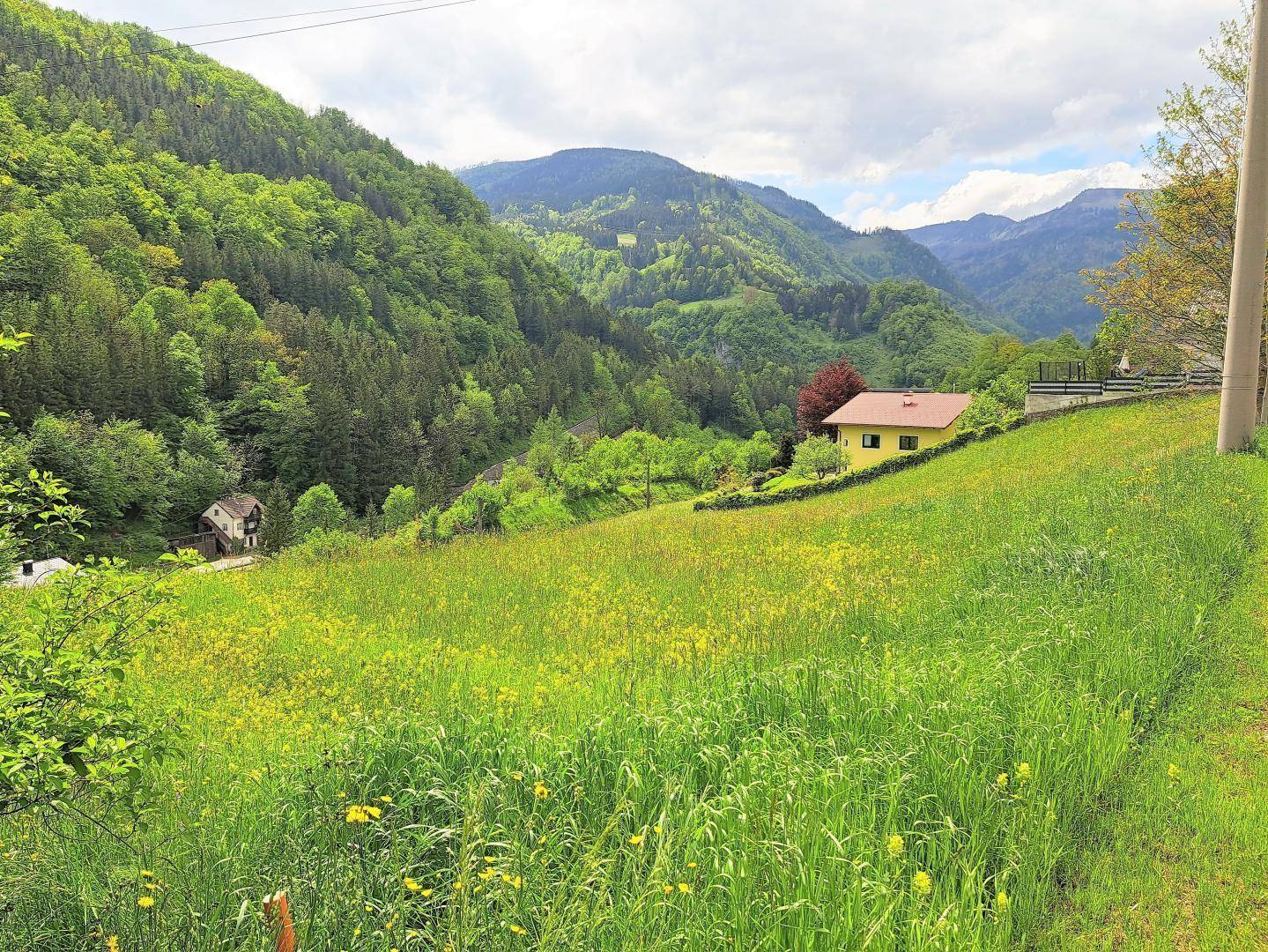 Ausblick nach SW - Hanglage