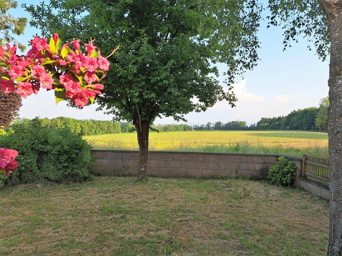 Ausblick ins Grüne