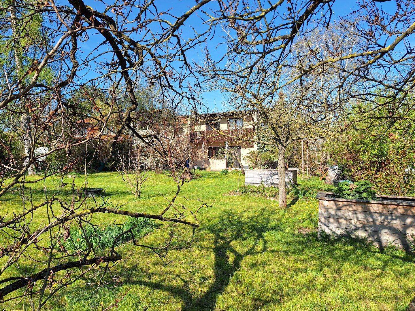 Weitläufiger Garten mit Rasenflächen, Bäumen und Blick auf die Rückseite des Hauses.