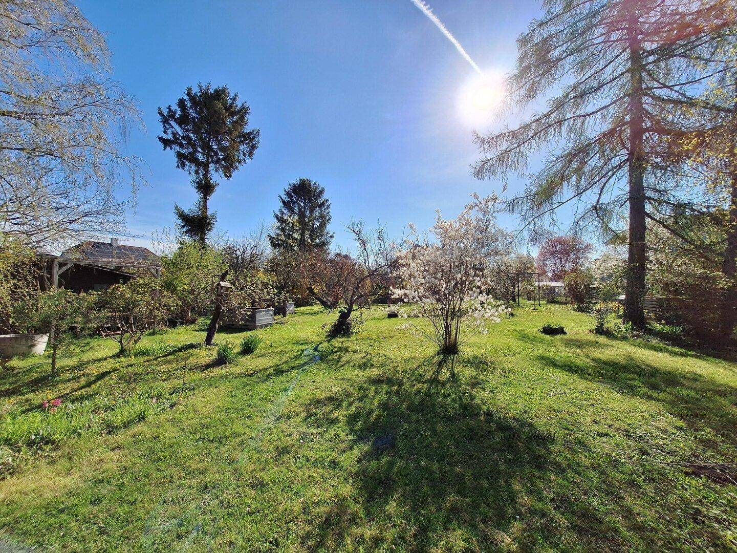 Großer Garten mit vielfältiger Bepflanzung, blühenden Bäumen und viel Sonnenlicht.