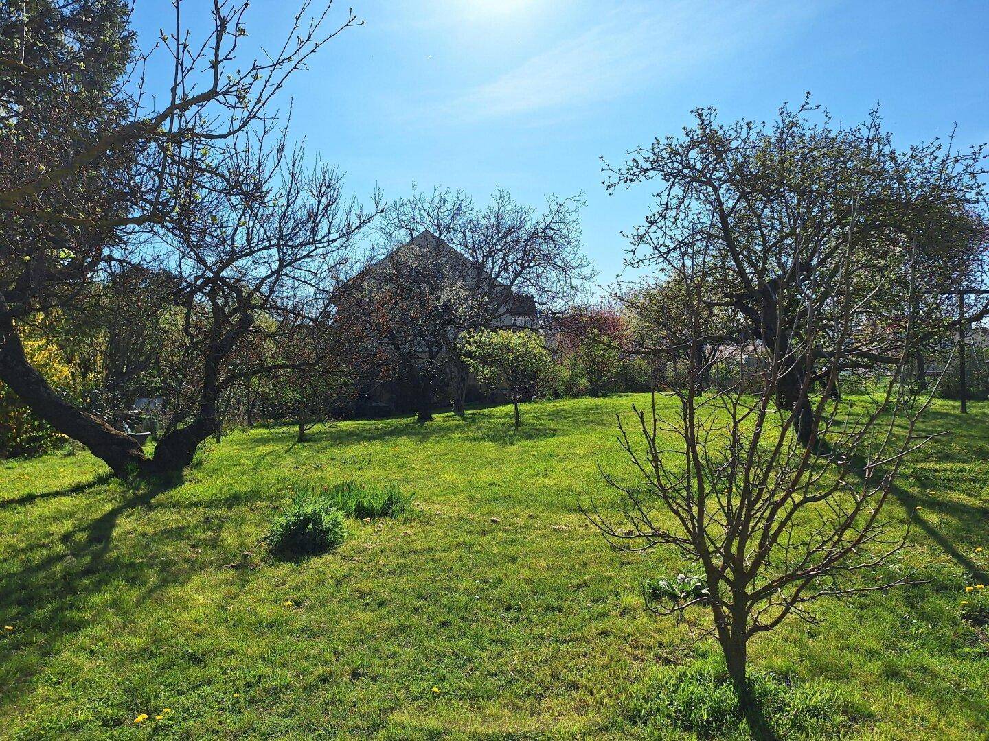 Weitläufiger Garten mit Rasen und Obstbäumen, im Hintergrund ist das Wohnhaus sichtbar.