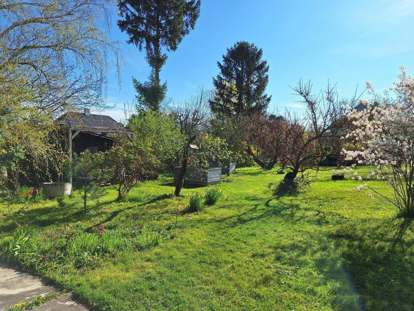 Idyllischer Garten mit Rasen, Bäumen und einem kleinen Gartenhaus an einem sonnigen Tag.