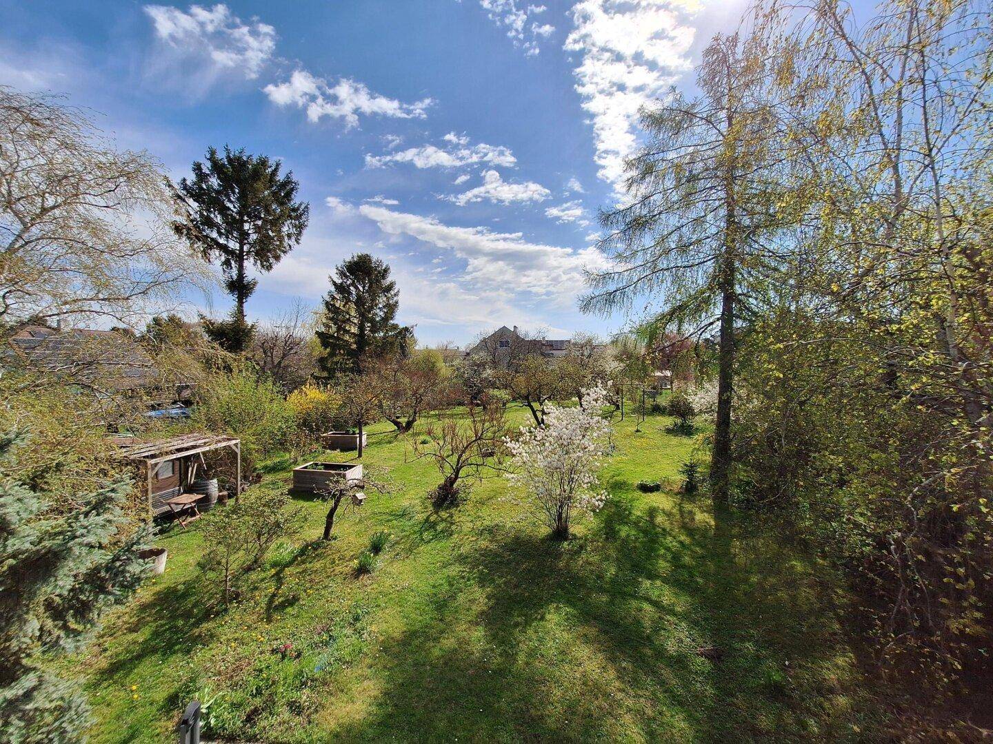 Weitläufiger Blick über den grünen Garten mit Bäumen und Sträuchern unter blauem Himmel.