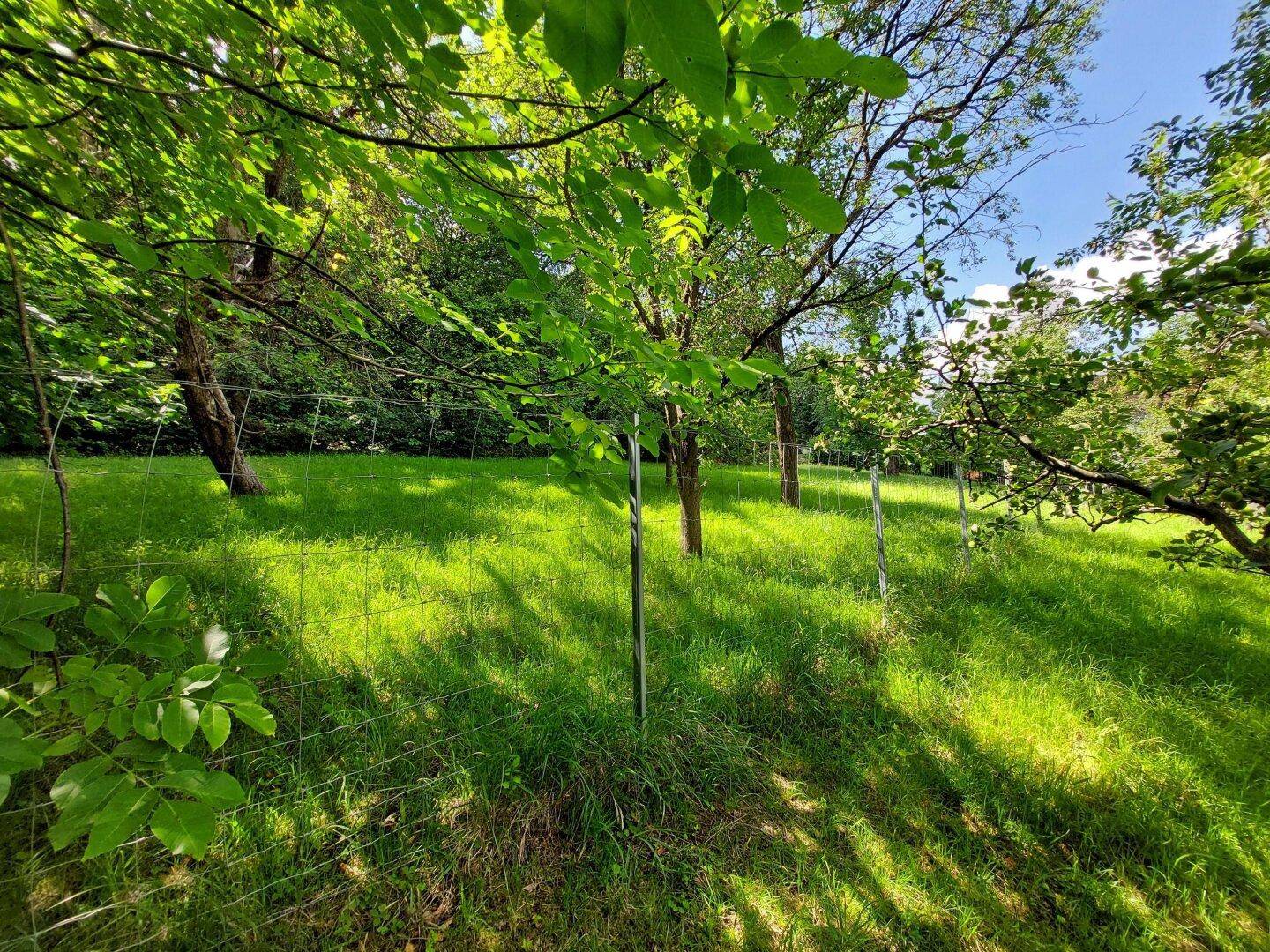 Obstgarten