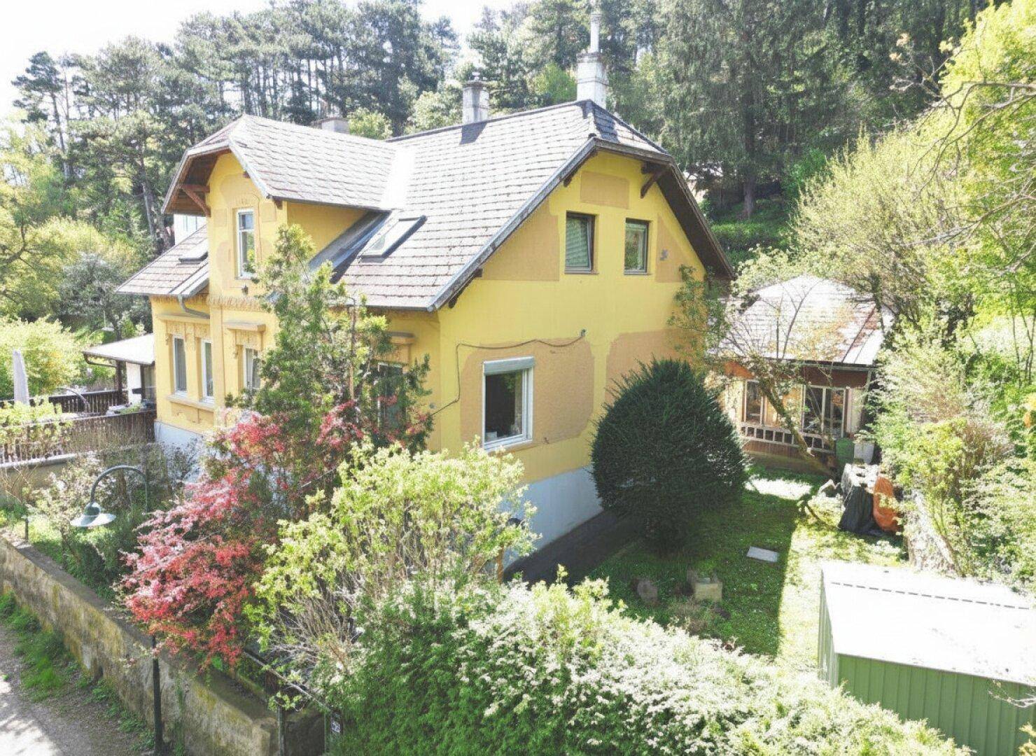 Haus