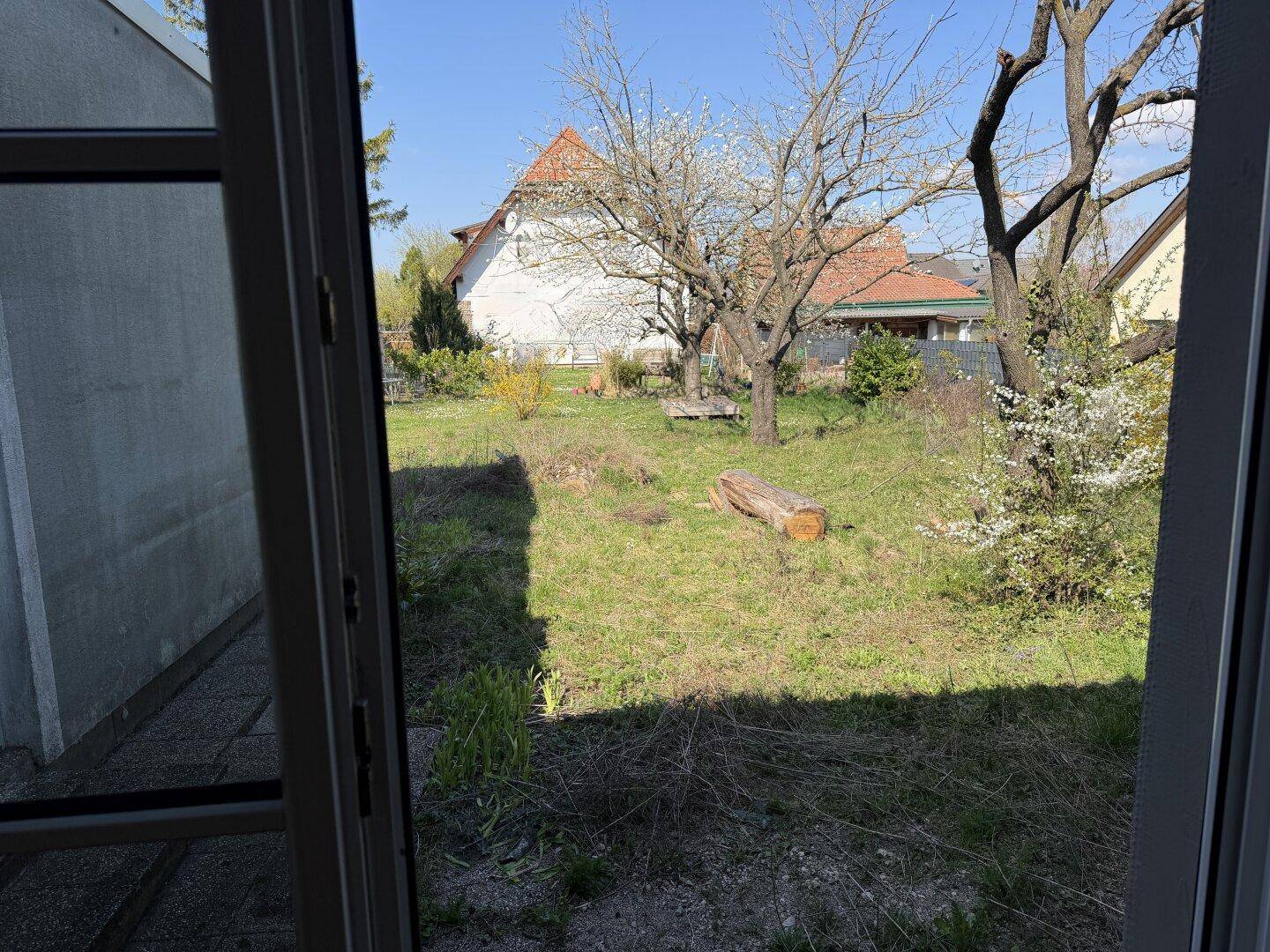 Blick aus dem Fenster auf einen weitläufigen Garten mit Bäumen und Rasenfläche.