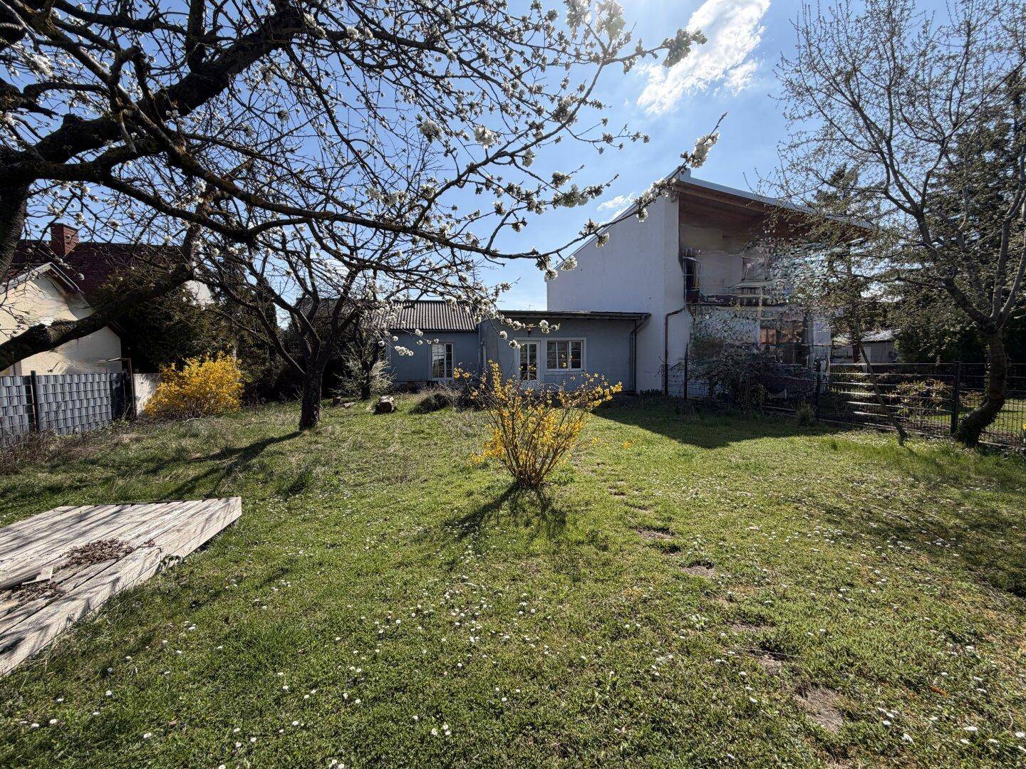 Großer, sonniger Garten mit blühenden Bäumen und einer Wiese, die zu einem älteren Haus führt.