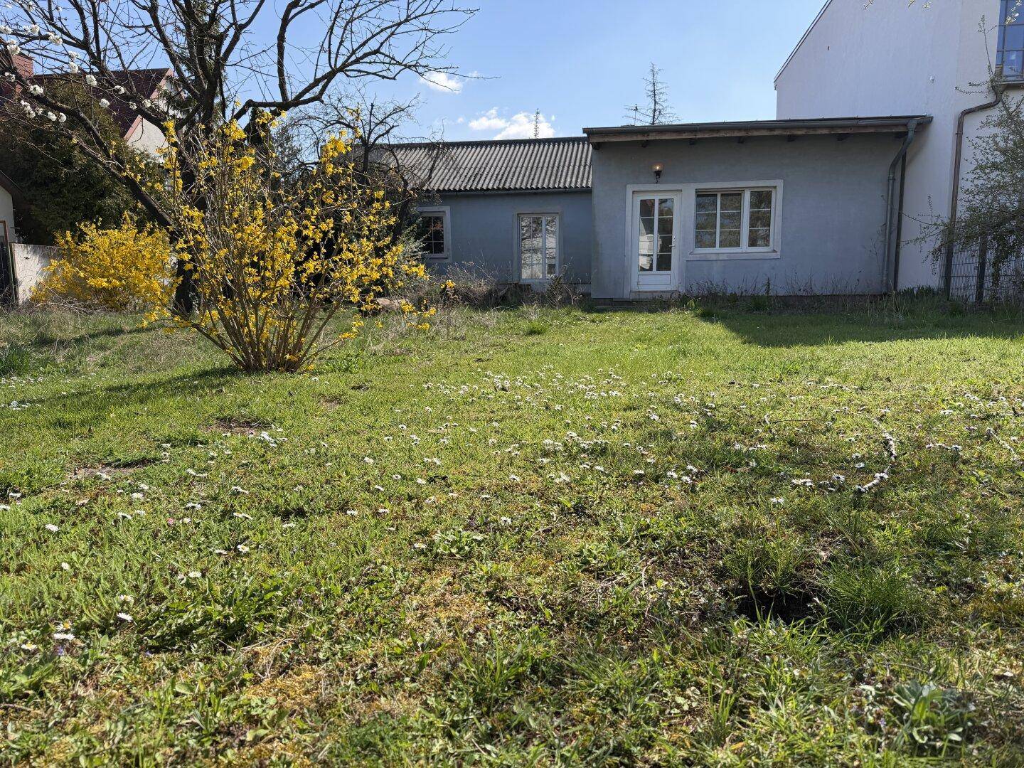 Weitläufiger grüner Garten mit blühenden Sträuchern und der Rückseite eines Hauses unter strahlendem Sonnenschein.