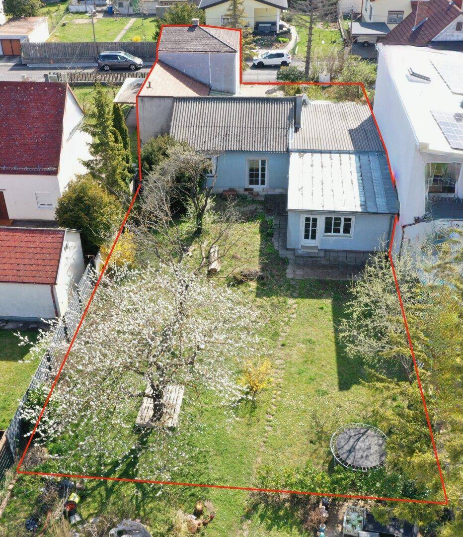 Luftaufnahme des Grundstücks mit einem großen Garten, blühenden Bäumen und einem Haus, umrandet von einer roten Linie.