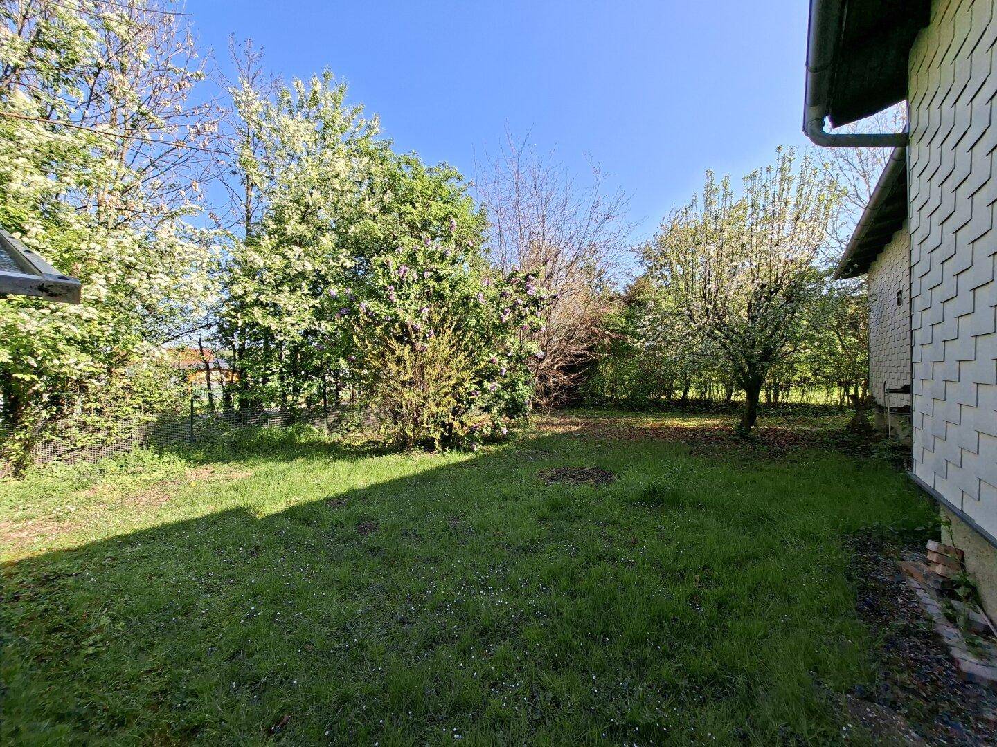 Großer, sonniger Gartenbereich mit Rasen und verschiedenen Bäumen.