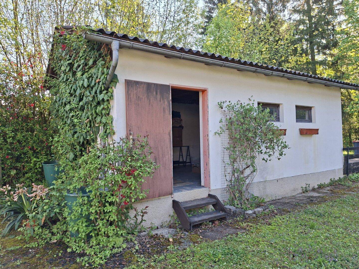 Kleines Nebengebäude mit Holztür und Fenster, umgeben von Pflanzen.